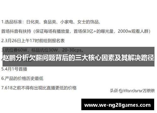 赵鹏分析欠薪问题背后的三大核心因素及其解决路径 赵鹏分析欠薪问题背后的三大核心因素及其解决路径